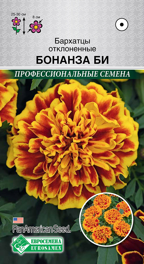 ���� ������ ���������� �������� ����������� ������� ��, 10 ��. PanAmerican Seeds ���������������� ������   ������ ������