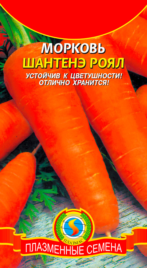 ���� ������ ������� ������� ������� ����, 2 �   ������ ������