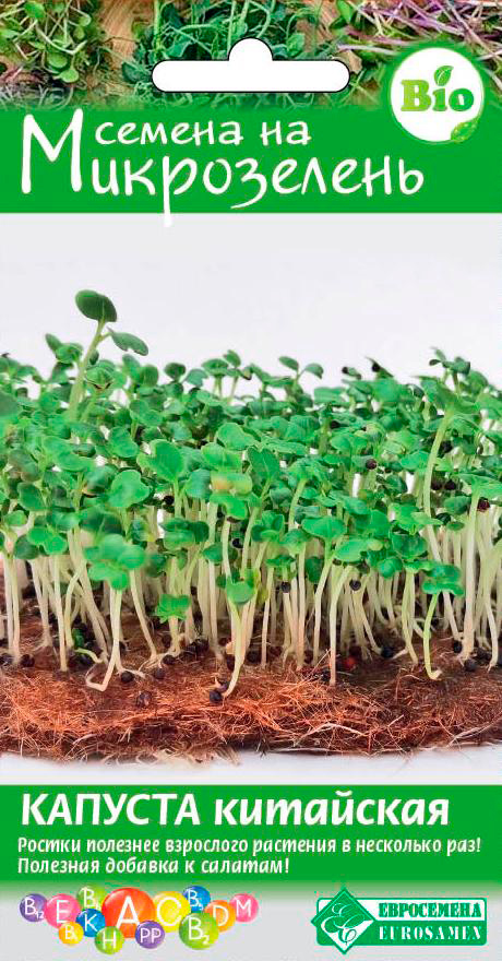 ���� ������ ���������� ����������� ������� ���������, 2 �   ������ ������