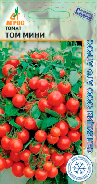 ���� ������ ����� ����� ��� ����, 10 ��. �������� �����   ������ ������