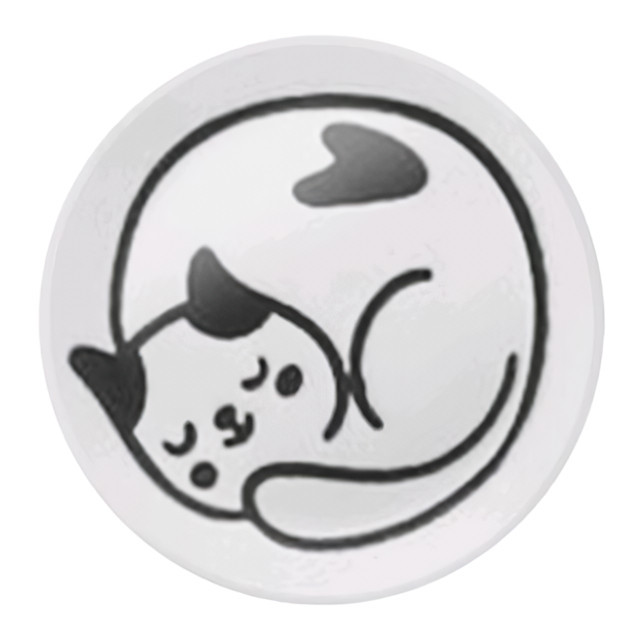 ���� ������ ATMOSPHERE Cats 10�� ��������   ������ ������