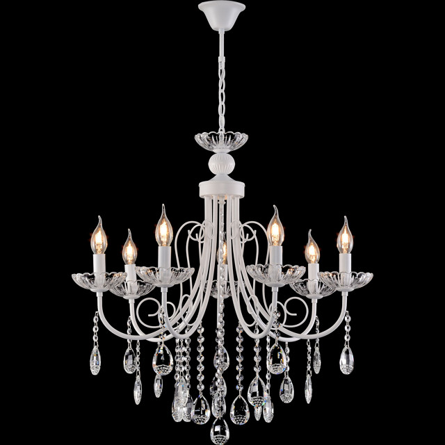 ���� ������ ��������� SCHAFFNER Fuerte E14 40 �� ������ ������ �����   ������ ������