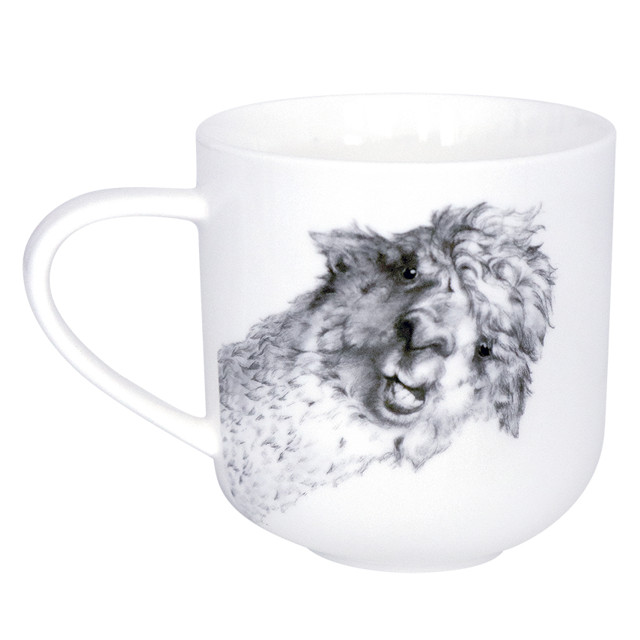 ���� ������ QUINSBERRY Llama 450�� ������   ������ ������