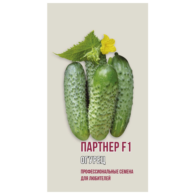 ���� ������ ������ ������� F1 ������ 5��   ������ ������