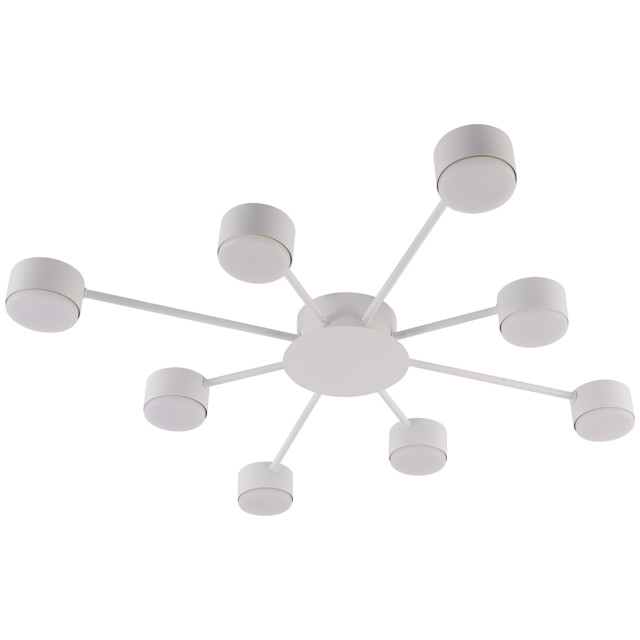 ���� ������ ���������� SCHAFFNER Botella GX53 15�� ������ �����   ������ ������