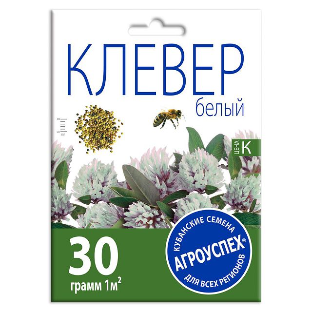 ���� ������ ������ ����� ��������� 30�   ������ ������