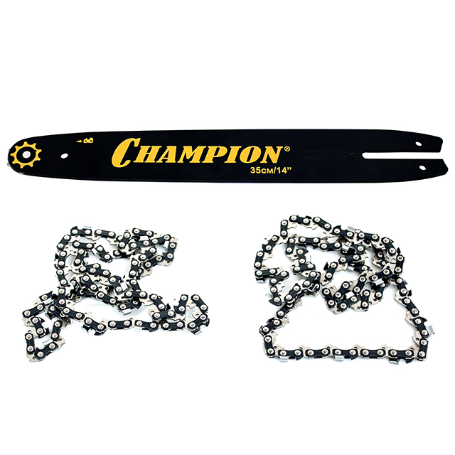 ���� ����� CHAMPION ���� 14