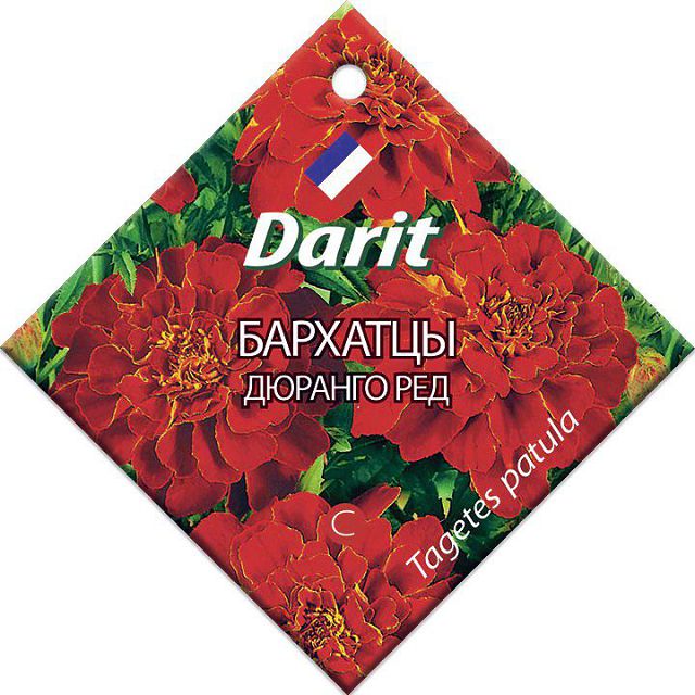 ���� ������ �������� ������� ��� DARIT 10��   ������ ������
