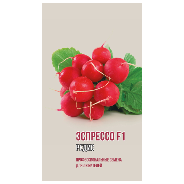 ���� ������ ����� �������� ������ F1 1�   ������ ������
