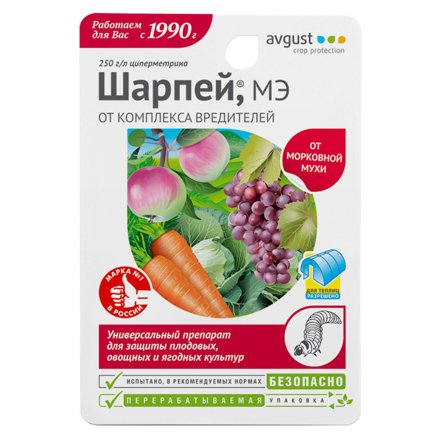 ���� ���������� AVGUST ������ �� ��������� ���������� 10��   ������ ������