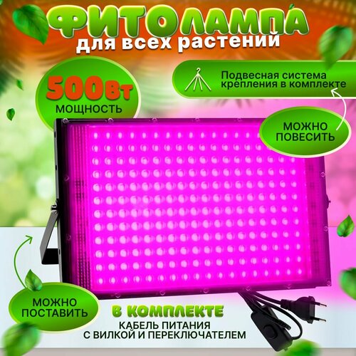 ���� ��������� ��� ������� 500 ��, ������ � �����������, �������� ������������, ������ ������, � ��������� � ���������� ������ ������