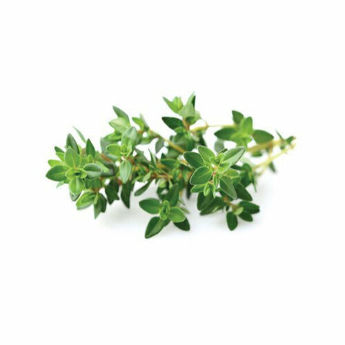  Click And Grow   Click And Grow Thyme 3 .    Click And Grow    -     , -, 