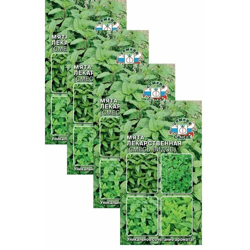 ���� ������ ���� ������������� (����� �����) 0,05 � (�����), 4 �������� * 0,05 � ������ ������