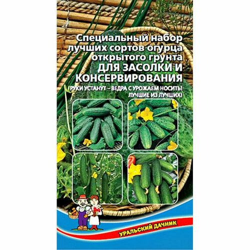 ���� ������ ����� ������� ��� ������� 12 �� (�����) (��������� ������) ������ ������