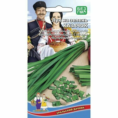 ���� ������ ���������� ������� 