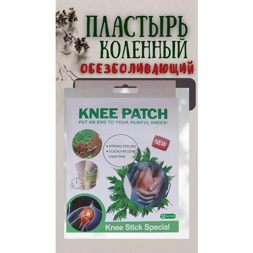 ���� �������� �������� ����, �������������� �������� �������� ��� ��������, �����������, �� ����������, �������� 12 ���� ������ ������