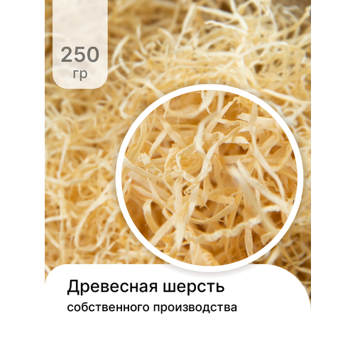 ���� ��������� ������, ����������� ���������, ����������� ��� �������� 250�� ������ ������