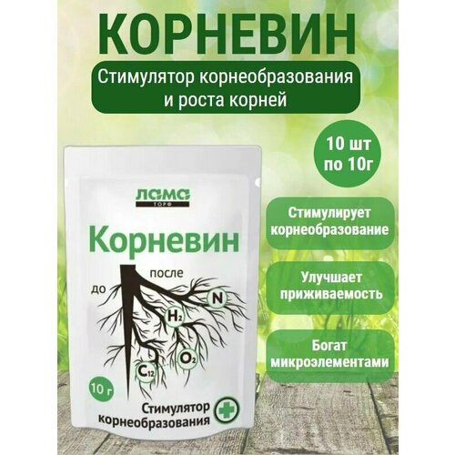 ���� ��������� �������� 10 �� �� 10�. ���������� ���������������� ��������� ��� ����� � ���������� �������� ������ ������