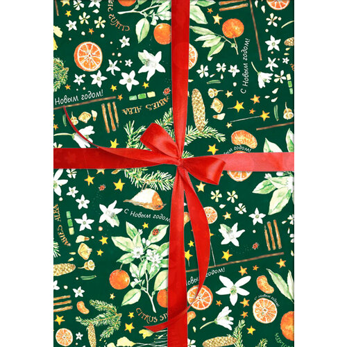 ���� ����������� ������ ���������� ������� � 29 �� ����� (6 ������) ������ ������