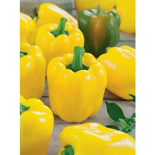 ���� ������������� ������ ����� �������� ������ F1 ������ ������