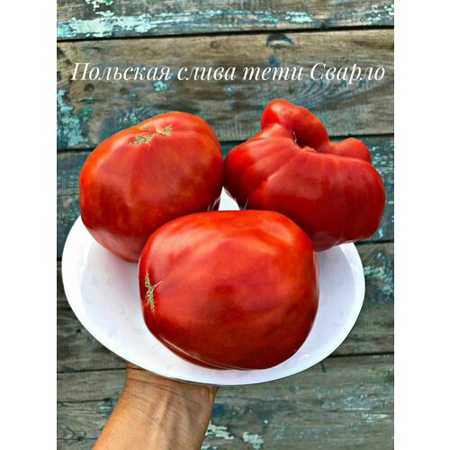 ���� ������������� ������ ������ �������� ����� ��� ������ ������ ������