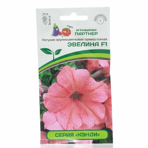 ���� ��������� ������� ������ ������ ������� ������������ ���������� 