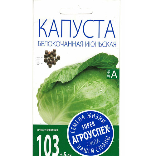 ���� ��������� ������� �������� ������ �/� 0.5� ������ ������