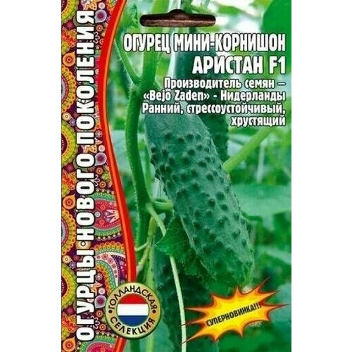 ���� ������ ������� F1 ���� �������� 6 �� ������ ������ (�������� 2 ��) ������ ������