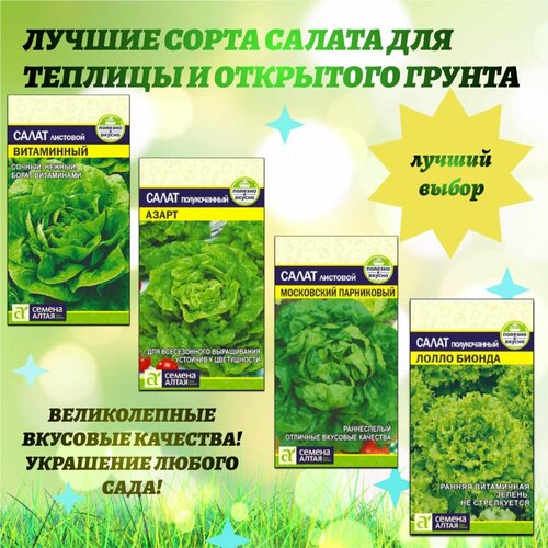 ���� ������ ����� - ����� ��� ������ ������ ������