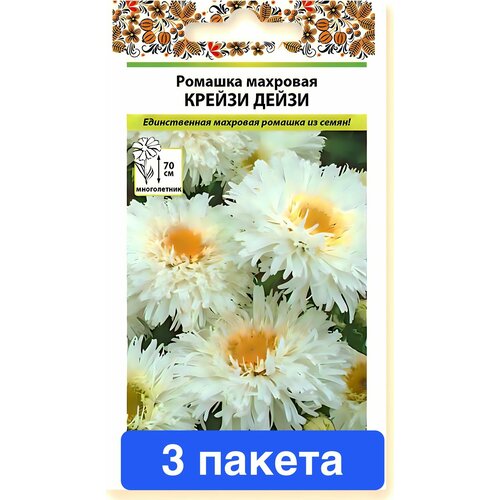 ���� ����� ������� ������ ����� �������� 3 ������ ������ ������