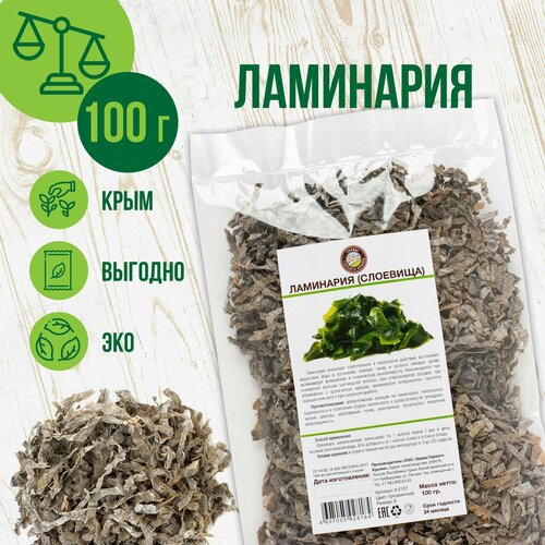 ���� ��������� ������� �������, ��������, 100�� ������ ������