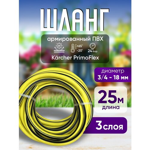 ���� ����� ���������� ������������ 18 �� 25 � ������ ������