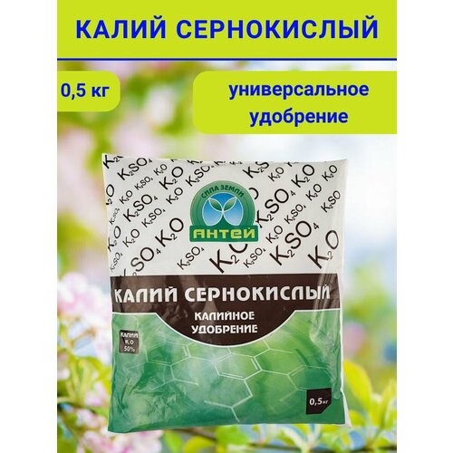 ���� ��������� ����� �����������, 0.5 ��. ������ ������