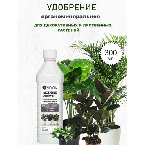 ���� ������ ��������� ��� ������������ � ���������� , 0,3 � ������ ������