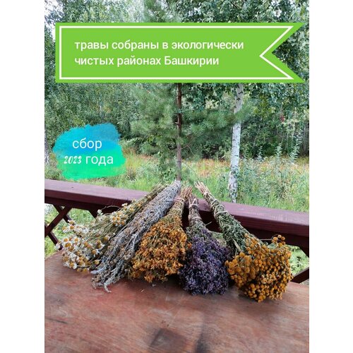 ���� ����� ��� ���� ������ ������