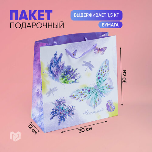 ���� ����� ���������� ������ ������� ���������� ��������, 30 x 12 x 30 ��, ����������/����� ������ ������