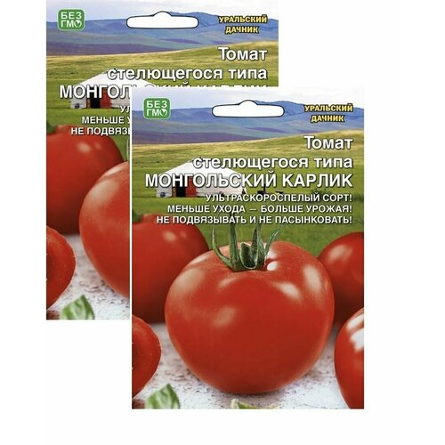 ���� ������ ����� ����������� ������ 2 �������� * 20��(�����) ��������� ������ ������ ������