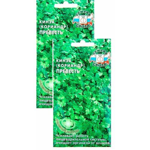 ���� ������ �������� (�����) �������� 2 � (�����) , 2 �������� * 2 � ������ ������