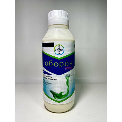 ���� ������ ����� 12 �� (������ �������) ������ ������