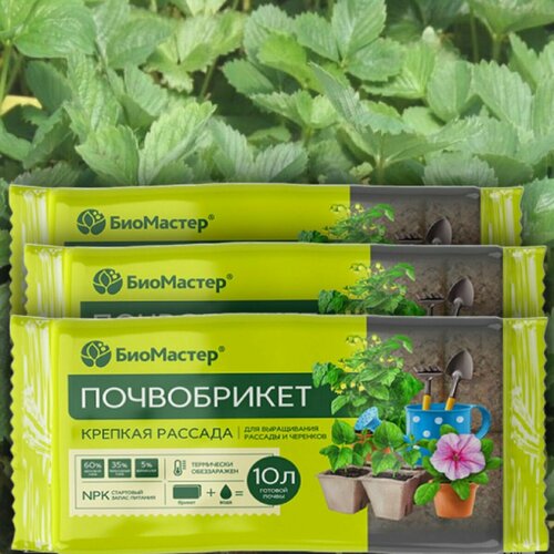 ���� �����������/����� ��� ����������� ������� / ���������� �������� ������� ������� 30� , 3 �������� * 10� ������ ������