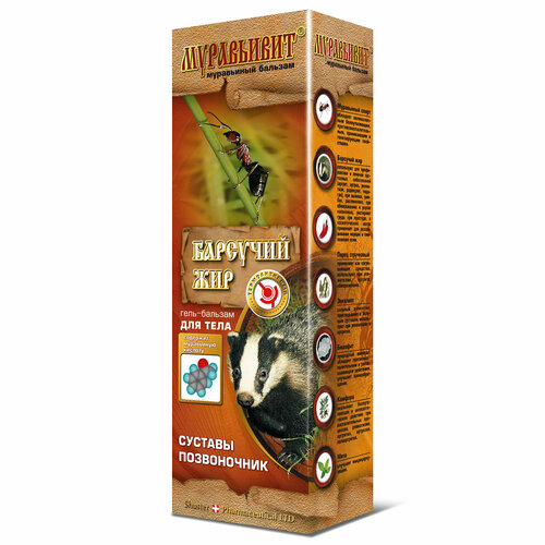 ���� ����-������� ��� ���� 