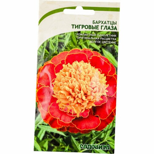 ���� �������� ������ �������� �������� ����� ������ ������