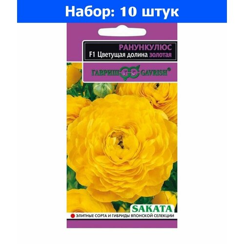      F1 3  25 ()  - 10     -     , -, 