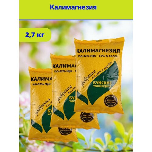 ���� ��������� 