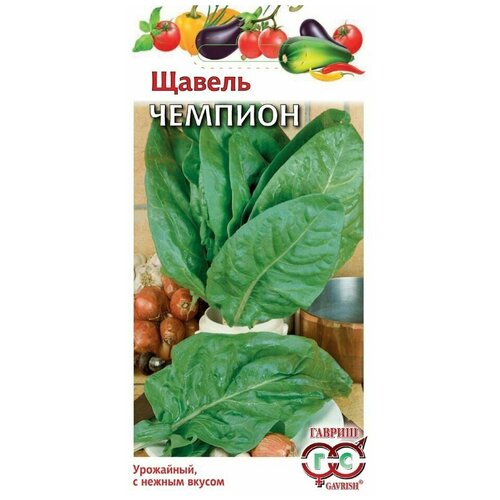 ���� ������. ������ 