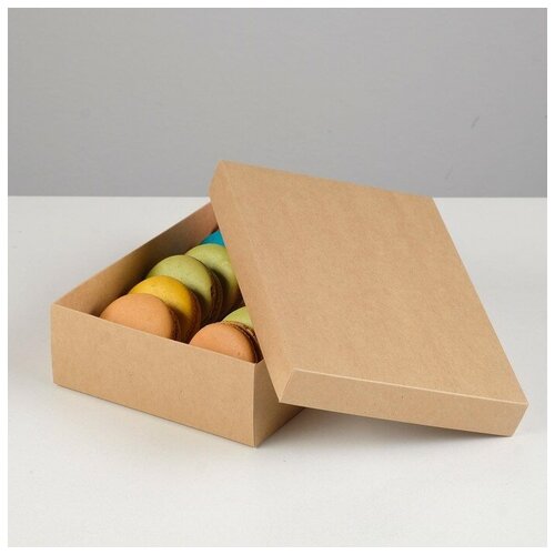 ���� ������� ��������, �����, 21 � 15 � 5 �� ������ ������