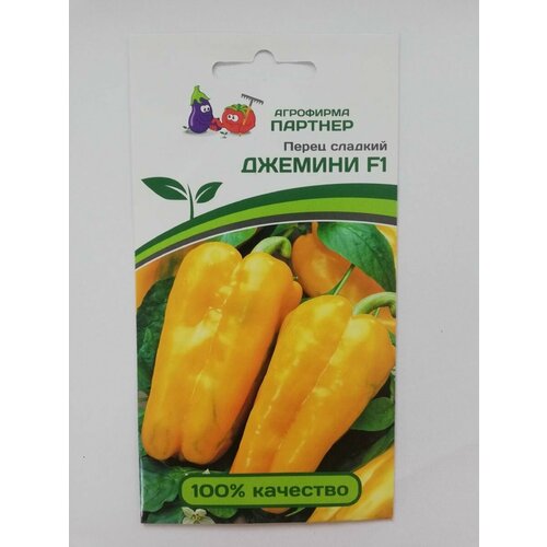 ���� ����� ������� F1 ������ ������