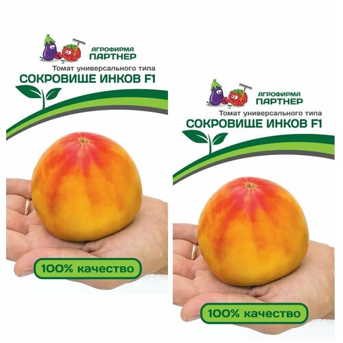 ���� ������ ����� ��������� ����� F1 /��������� �������/ 2 �������� �� 10 ����� ������ ������