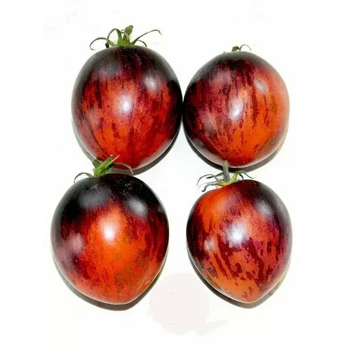 ���� ������������� ������ ������ ���� ��������� ����� ������ ������