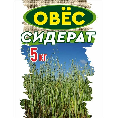 ���� ���� ��� ����������� �����, ������ 5 ��. ������ ������